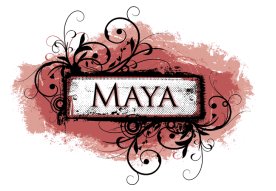 Mostecká pobočka svatebního salónu Maya mění majitele