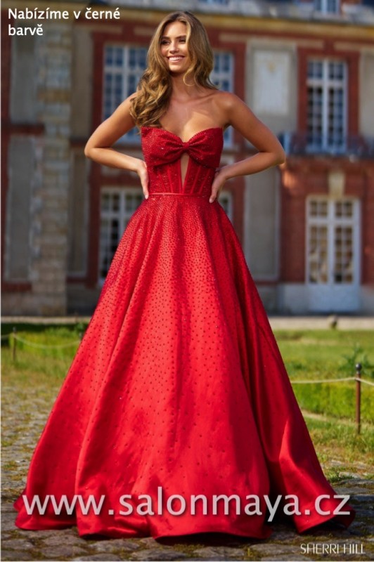Sherri Hill 56900